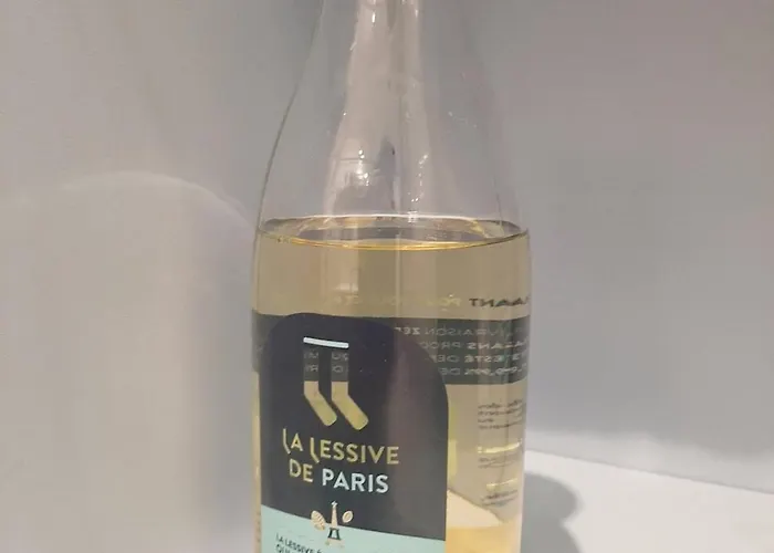 Avec Terrasse Au Calme * פריז